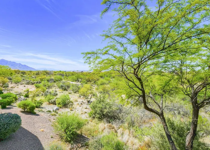 Vistoso Nature Preserve #105c *